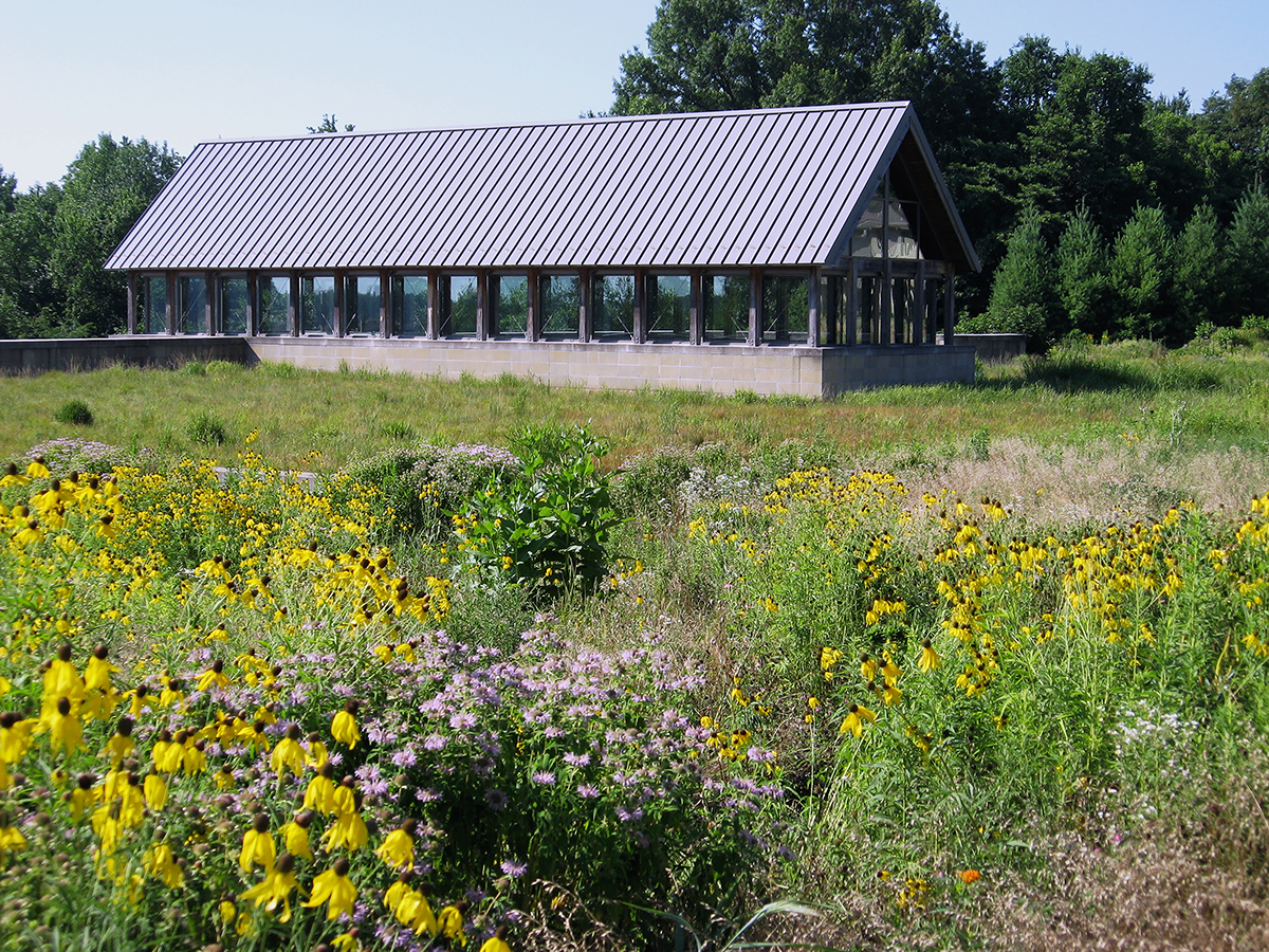 Oaklyn Branch Library landscape