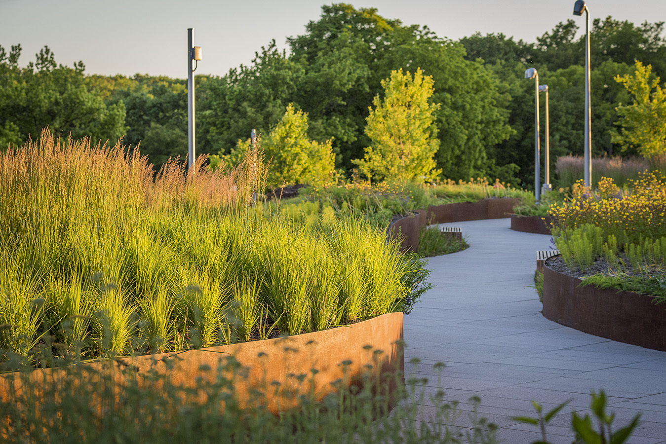 Healing gardens with meadow walks