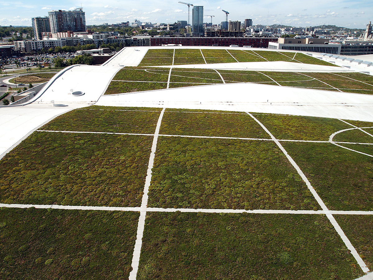 Music City Center landscape