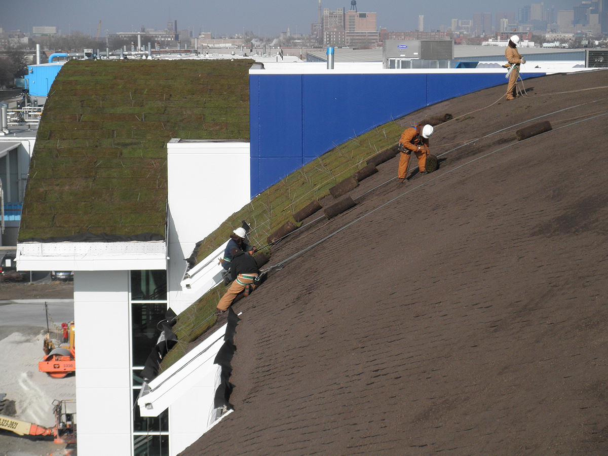 Green Roof Design